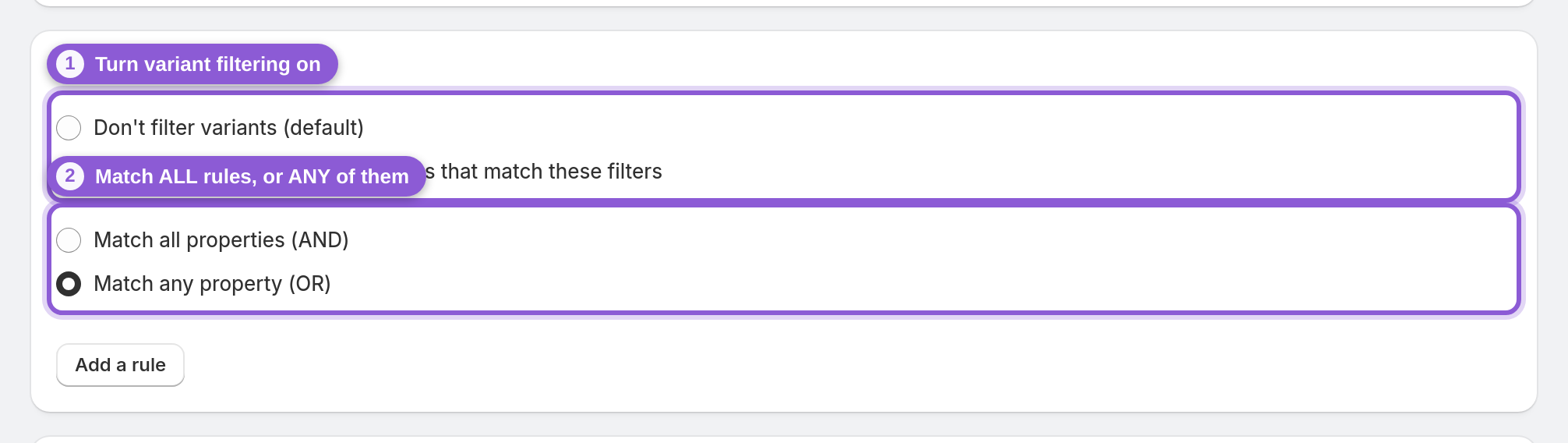 Turn on Filter variants and choose how rules combine — #product_feed_filterVariants, #product_feed_variantPropertyMatch highlighted